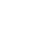 White star icon